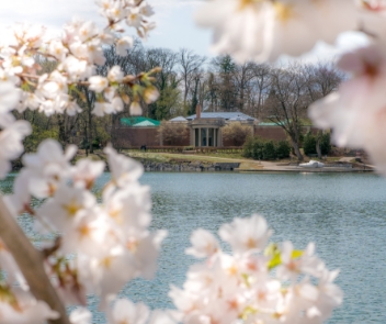 Hagerstown, Maryland's historic City Park in bloom.