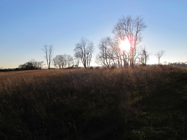 View from the Tidball Trail at Antietam National Battlefield
