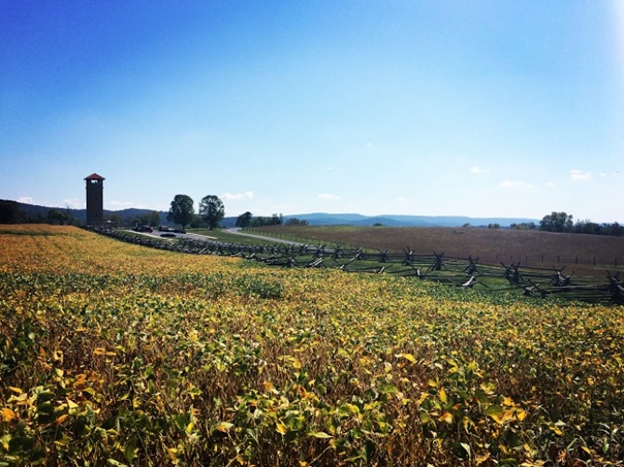 Photograph of Antietam National Battlefield