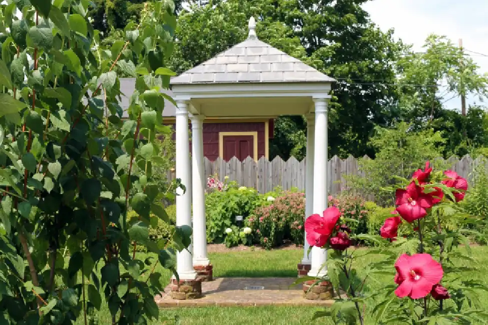 Shellman Garden Arch