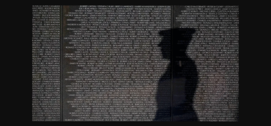 Image of Vietnam Traveling Memorial Wall