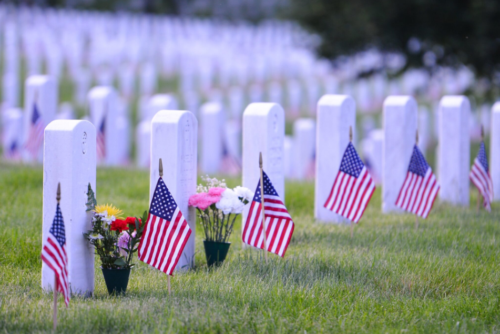 Photograph of headstones decorated with American flags