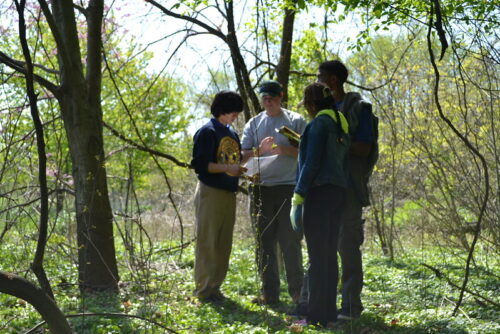 Photo of hikers exploring trees