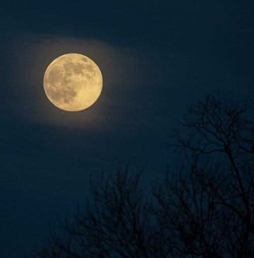 Photo of the moon